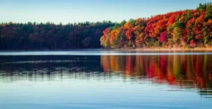 autumn image at a lake