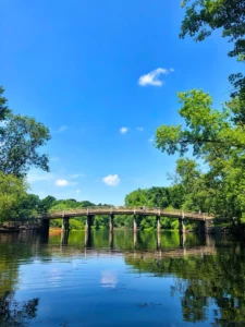 country bridge, symbolizing mindfulness-based therapy